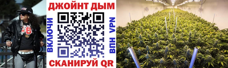 купить наркоту  Полярные Зори  Каннабис тримм 